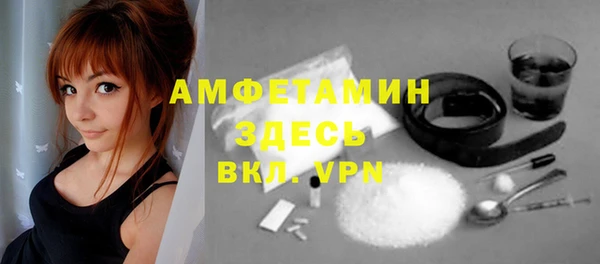 сатива Бородино