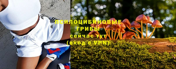 мдпв Волосово