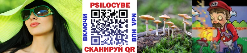 Галлюциногенные грибы Psilocybe  даркнет сайт  мориарти официальный сайт  Карасук  omg зеркало 